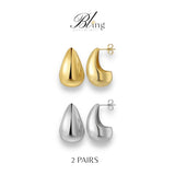 BLING 2Pairs Gold Silver Elegant Classic Earrings Set