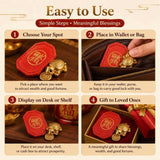 ANCHOR Turtle Charm with Protective Sleeve Money Health Luck